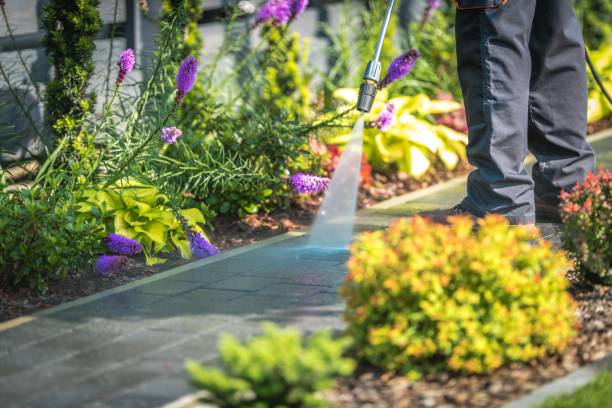 Reliable Chesilhurst, NJ Pressure Washing Services Solutions