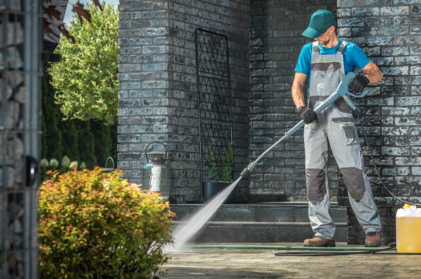 Best Solar Panel Cleaning  in Chesilhurst, NJ