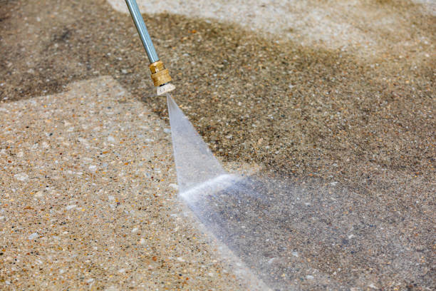 Best Driveway Pressure Washing  in Chesilhurst, NJ